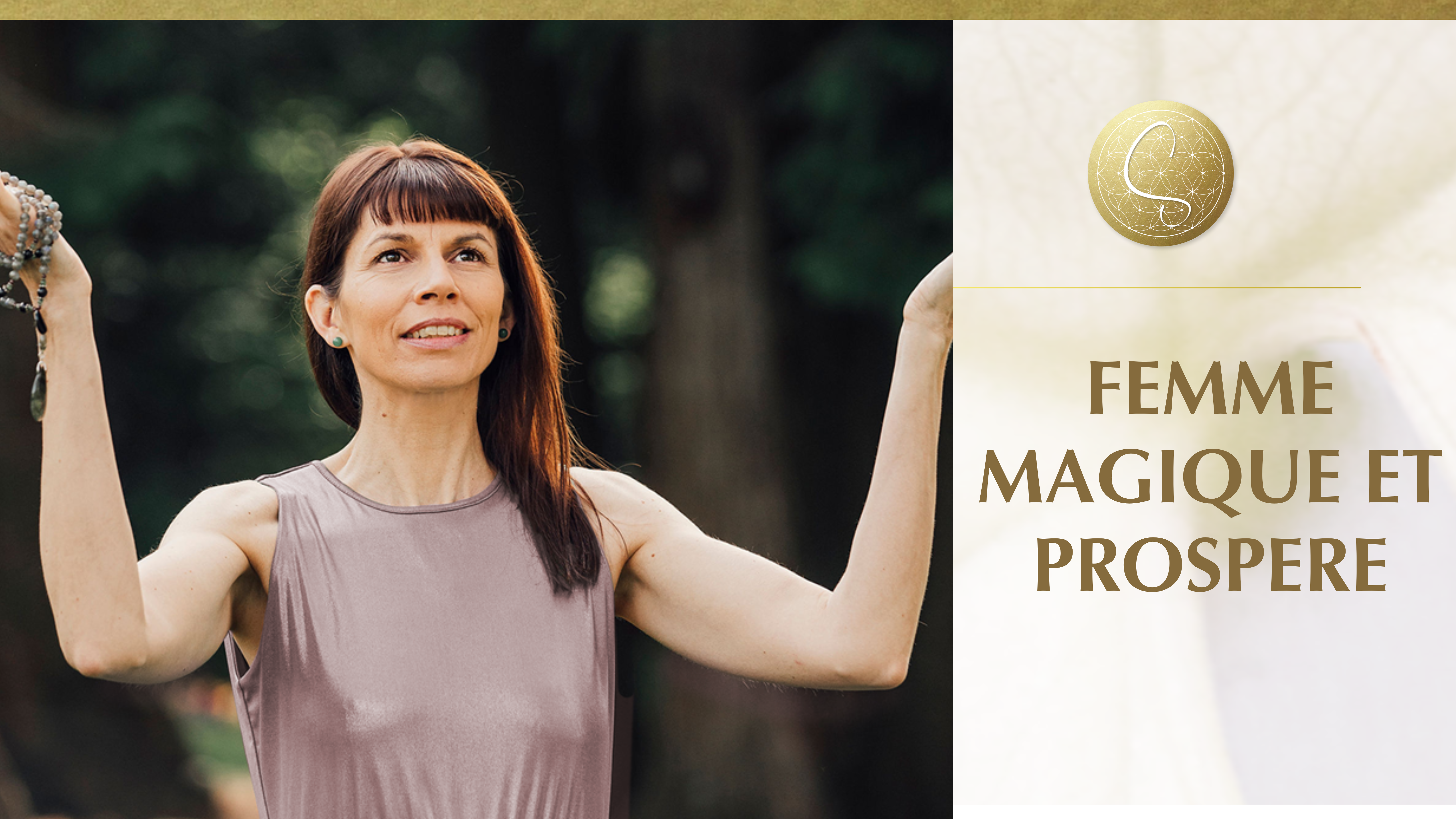 visuels programme upgrade (64 × 36 po)(5)